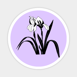 Black and White Iris Flower Magnet